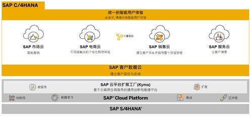 SAP商務云產品自學指南 電商云、銷售云與營銷云業務知識入門