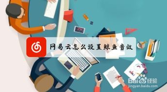 網(wǎng)易云音樂與云直聘的鯨魚音效設置指引